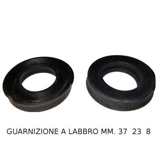 GUARNIZIONE CALOTTA PER POMPE LT 40/60 PARAOLIO 22 X 40 X 9