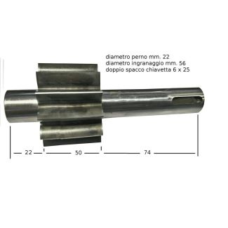 INGRANAGGIO CONDUTTORE PER POMPA OLEODINAMICA IN GHISA DA LT. 60. FUORI PRODUZIONE. AD ESAURIMENTO.