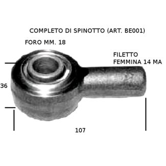 TESTA BIELLA COMPLETA DI SPINOTTO BERTOLINI. COD. ORIGINALE 582989