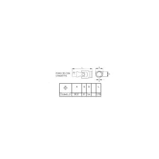 GIUNTO B2 (23,4 X 61,2). FORO MM. 35 E FORO TRIANGOLARE (CA0385)