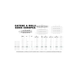 CATENA UNI A RULLI SEMPLICE 1' X 17  16B-1