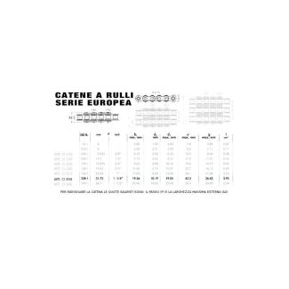 CATENA UNI A RULLI SEMPLICE 1' 1/4 X 19,6  20B-1