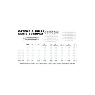 CATENA UNI A RULLI SEMPLICE 1'1/2 X 25,4  24B-1