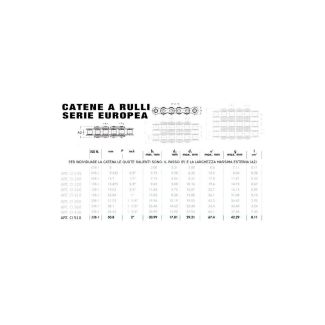 CATENA UNI A RULLI SEMPLICE 2'  X 31  32B-1