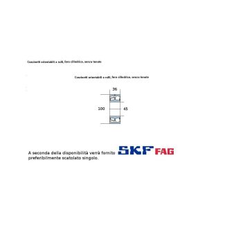 45 100 36 CUSCINETTO SKF