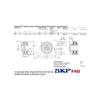 CUSCINETTO CON SUPPORTO SKF TIPO UCP FORO 45 MM O FAG