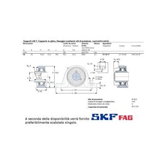 CUSCINETTO CON SUPPORTO SKF TIPO UCP FORO 50 MM O FAG