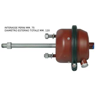 ELEMENTO FRENANTE BRAKE CHAMBER 12'