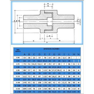 GIUNTO PARASTRAPPI G.50 1000 GIRI 1,8 HP