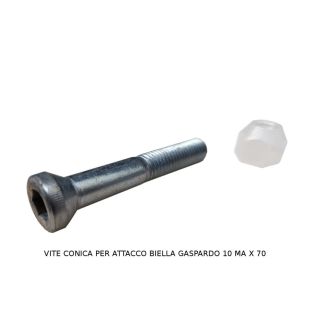 VITE FISSAGGIO PERNO ADATTABILE GASPARDO FB 925-940. 21120071