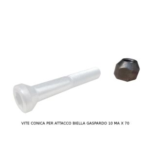 DADO CONICO PER VITE GASPARDO F.B. 925-940. 21120068