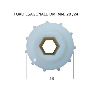 DISTRIBUTORE SEME SAXONIA                                                                           