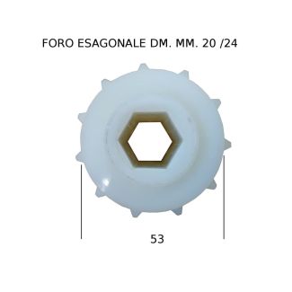 DISTRIBUTORE SEME SAXONIA                                                                           