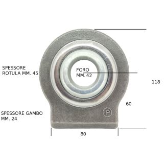 SUPPORTO  CON ROTULA. FORO DM. MM. 42