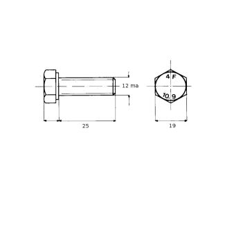 VITE 12X25 A RESISTENZA 10,9 TESTA ESAGONALE 5737