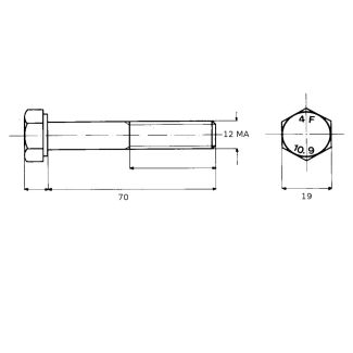 VITE 12X70 A RESISTENZA 10,9 TESTA ESAGONALE 5737