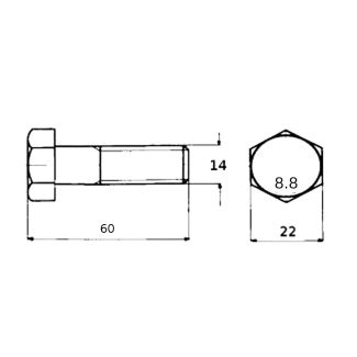 VITE TESTA ESAGONALE 5738 ZINCATA 14x60x1.5