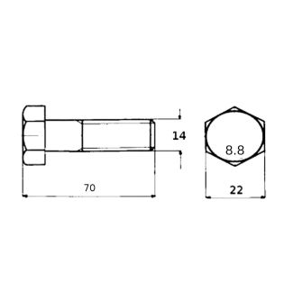 VITE TESTA ESAGONALE 5738 ZINCATA 14x70x1.5. R. 8.8