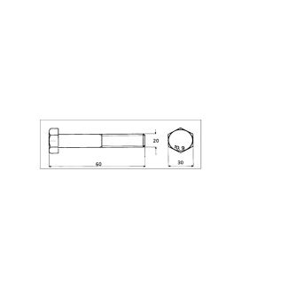 VITE 10.9 TESTA ESAGONALE 5738 ZINCATA 20x60x1.5