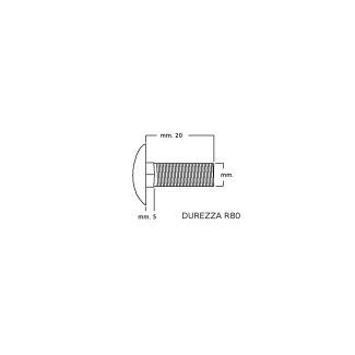 VITE TESTA TONDA  CON QUADRO SOTTO TESTA  ZINCATE 10x20 DUREZZA 8.8